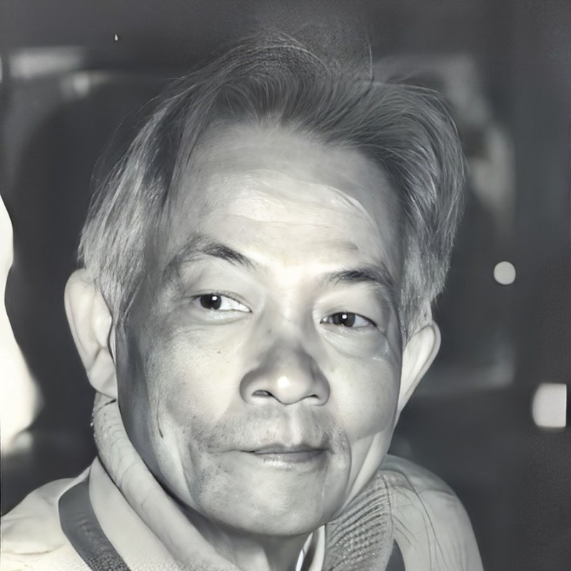 Họa sĩ Dương Bích Liên