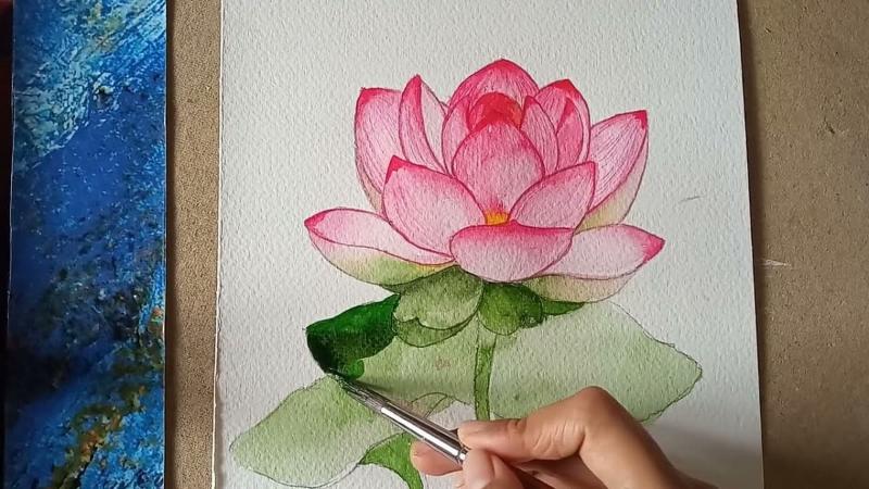 Một cận cảnh bông sen đang nở rộ, với những cánh hoa hồng nhạt và chiếc lá xanh, thể hiện sự mềm mại và tinh tế của kỹ thuật vẽ màu nước