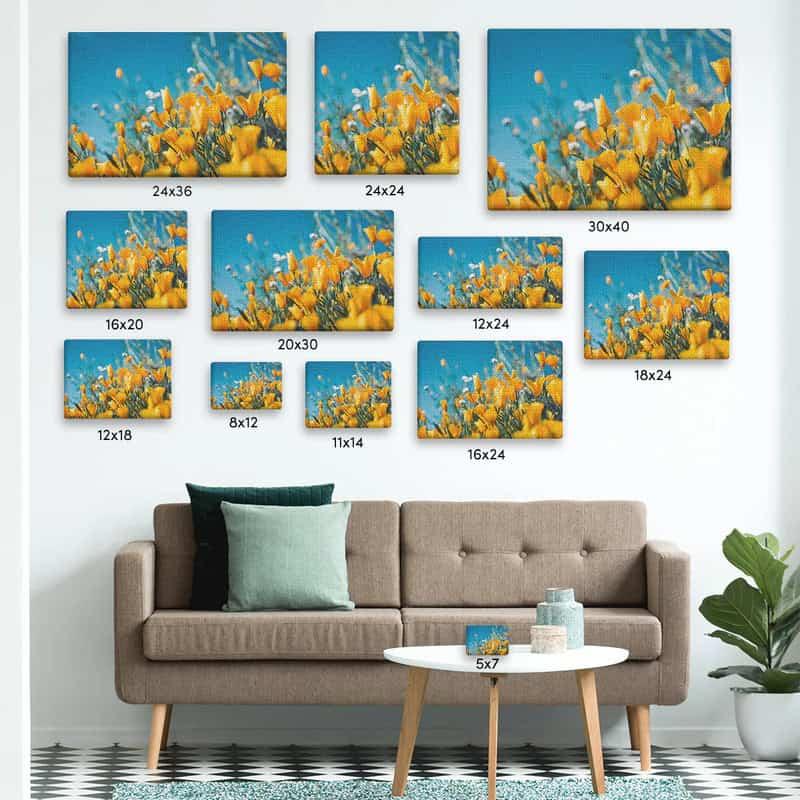 Chọn tranh canvas kích thước vuông hay chữ nhật