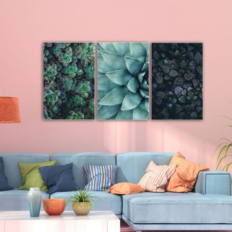 Mua tranh hoa sen đá ở đâu uy tín