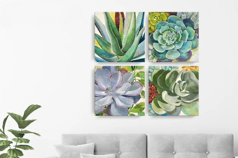 Ý nghĩa phong thủy trong hoa sen đá