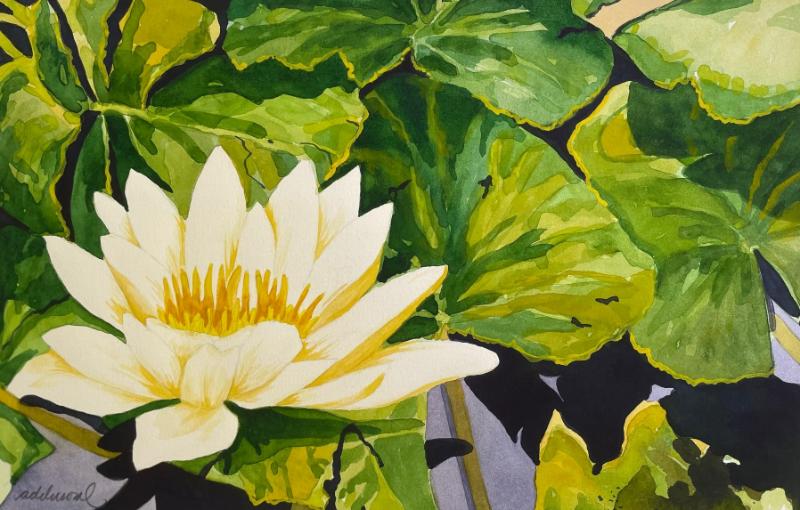 Tranh bông súng vàng tượng trưng cho sự giàu sang, phú quý và thành công