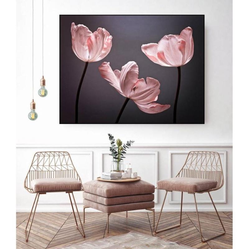 Tranh canvas tulip hồng