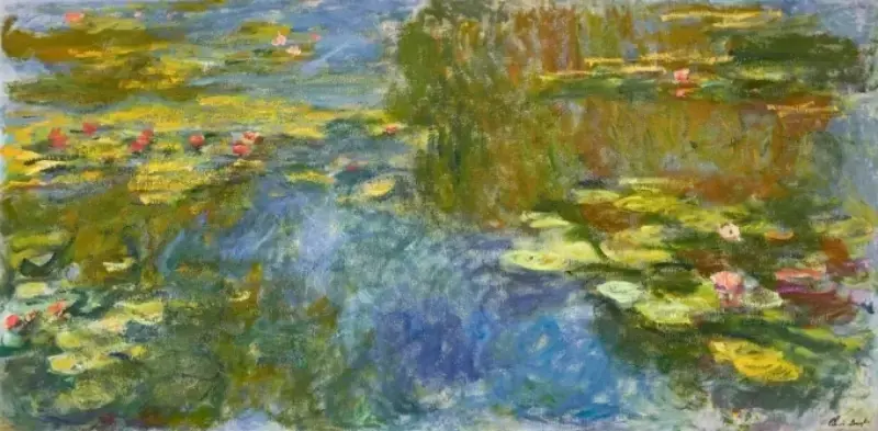 Water Lilies phản chiếu thiên nhiên tĩnh lặng và vẻ đẹp thiền định