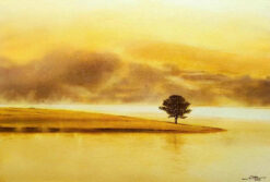 Tĩnh Lặng Bên Hồ