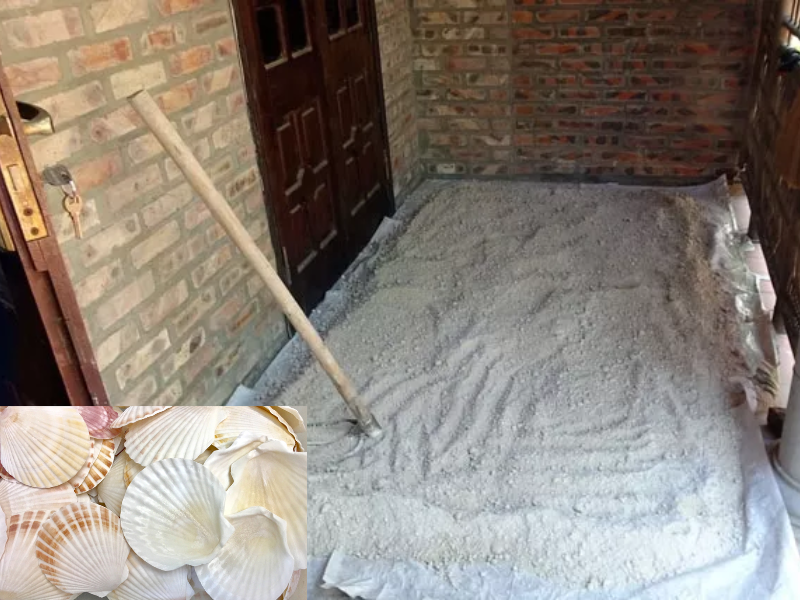 Nghiền mịn vỏ sò và phơi khô