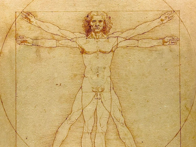 Người Vitruvius (Vitruvian Man, khoảng 1490) – Bản vẽ nổi tiếng của Leonardo da Vinci, biểu tượng cho sự cân đối hoàn hảo giữa nghệ thuật, khoa học và cơ thể con người.