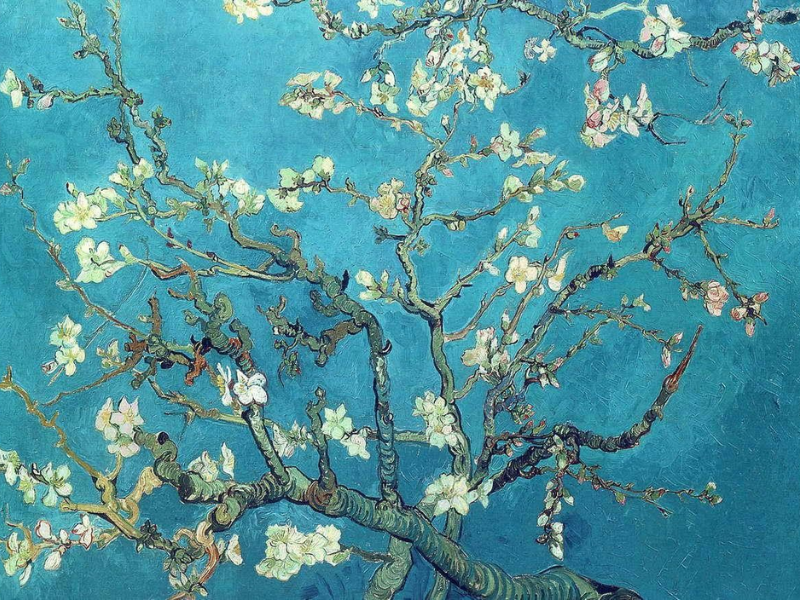 Bức Almond Blossom (1890) của Van Gogh khắc họa cành hoa hạnh nhân nở trên nền trời xanh, biểu tượng cho sức sống và niềm hy vọng. Tác phẩm mang đậm tình cảm gia đình, được ông vẽ để mừng cháu trai mới chào đời.