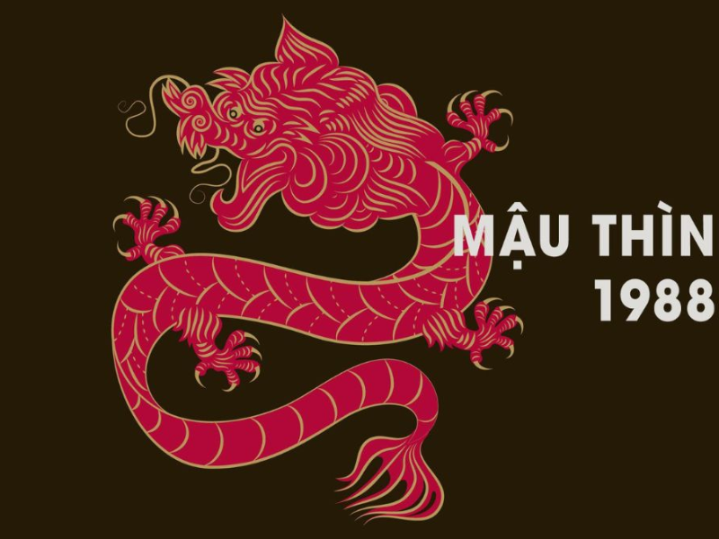 Tuổi Mậu Thìn 1988
