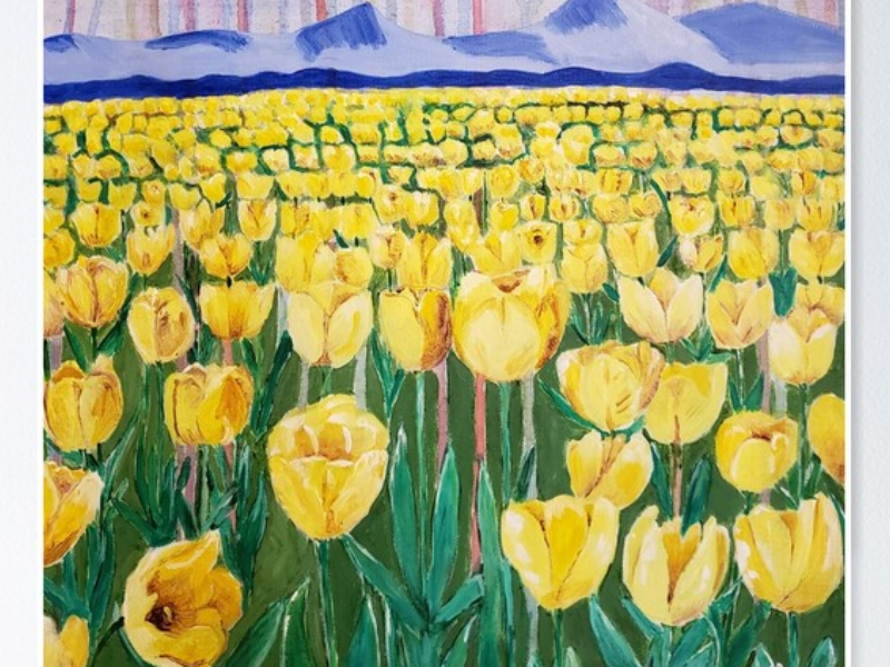 Cánh đồng Tulip vàng rực rỡ trải dài bất tận dưới bầu trời xanh trong. Xa xa, cối xay gió tạo điểm nhấn bình yên, gợi sự thịnh vượng và niềm vui tràn đầy.
