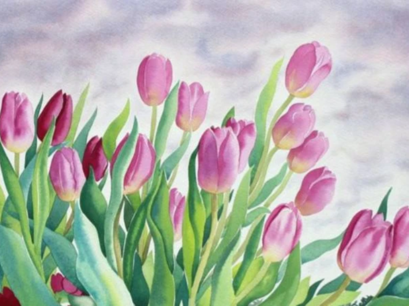 Tranh vẽ cánh đồng Tulip hồng là hiện thân của hạnh phúc, niềm vui và sự yêu thương, vừa đẹp mắt vừa mang nhiều giá trị tinh thần cho không gian sống.