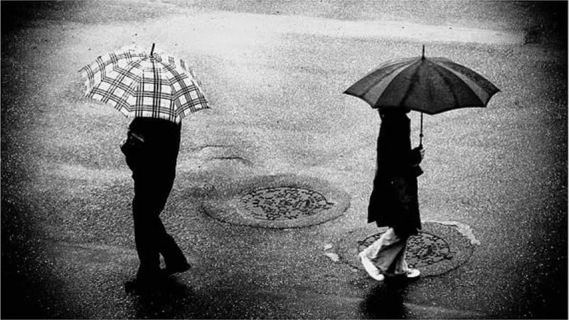 Tranh có hình ảnh buồn, chia ly, đau khổ: Gợi cảm giác u ám, mất mát, dễ mang năng lượng tiêu cực và ảnh hưởng đến hạnh phúc gia đình.