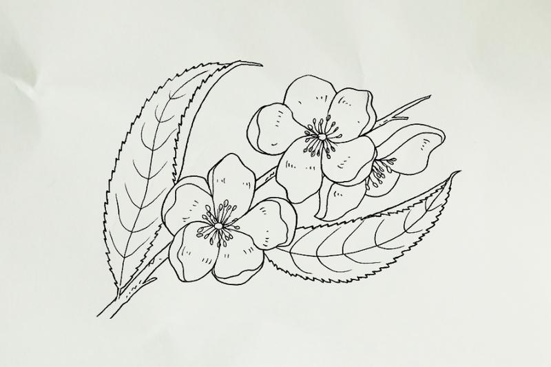 Thêm chi tiết lá non và cành