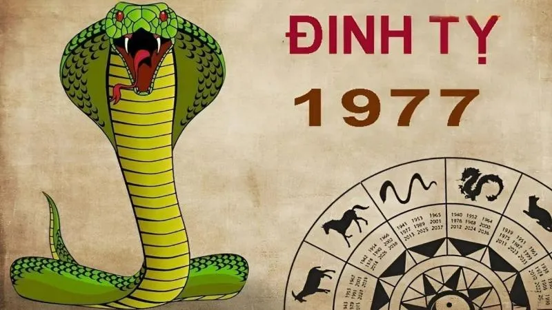 Tuổi Đinh Tỵ có chí tiến thủ, thích tự mình làm chủ