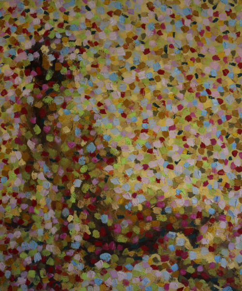 Dưới Ánh Mặt Trời