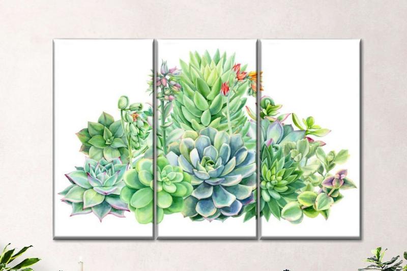 Tranh bộ 3 treo tường hoa Sen Đá