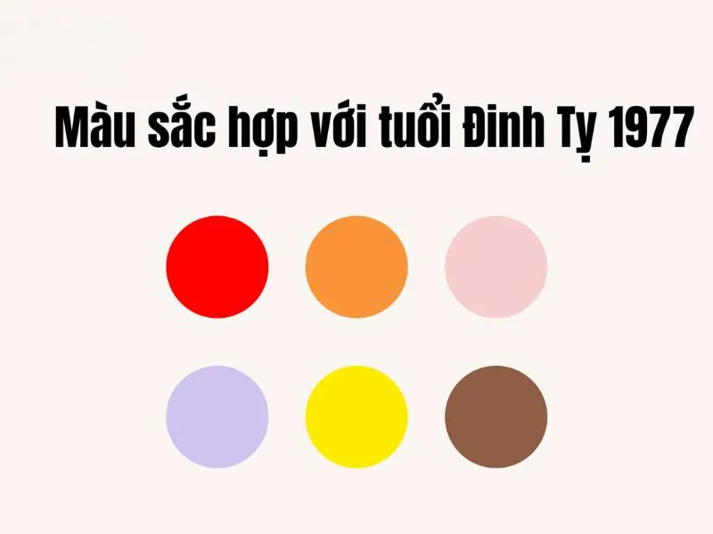 Tuổi Đinh Tỵ 1977 hợp với màu vàng, nâu đất, đỏ, cam, tím