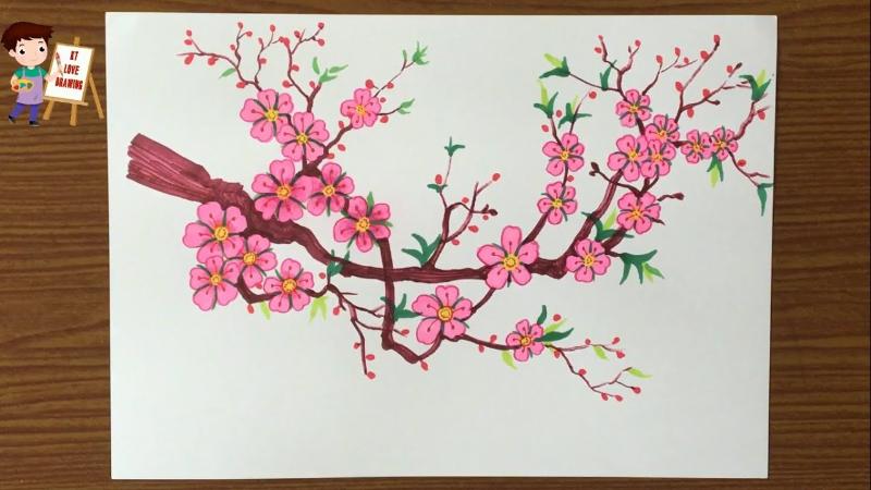 Tô màu hoàn chỉnh bức tranh vẽ cành Đào
