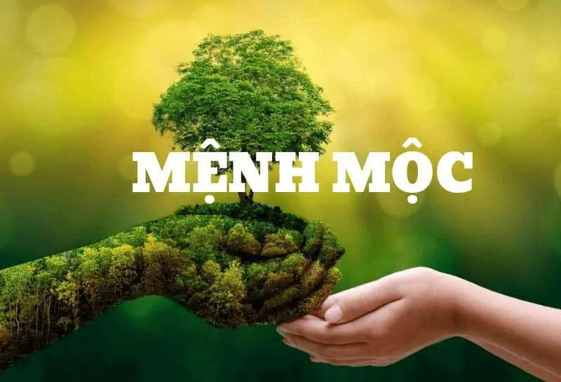 Người mệnh Mộc có khả năng thích nghi linh hoạt