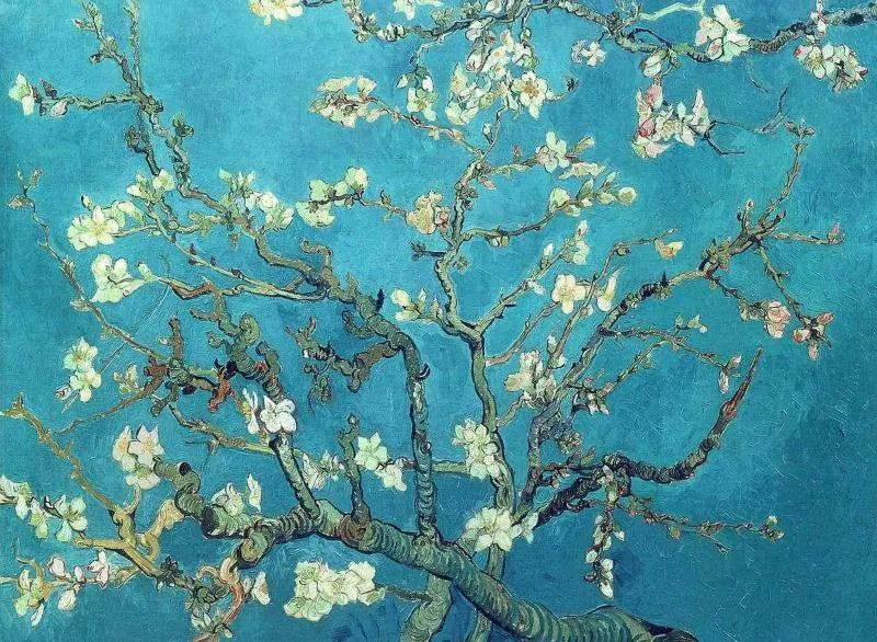 Tranh hoa hạnh nhân nở của Van Gogh dành tặng cho cháu trai Vincent Willem