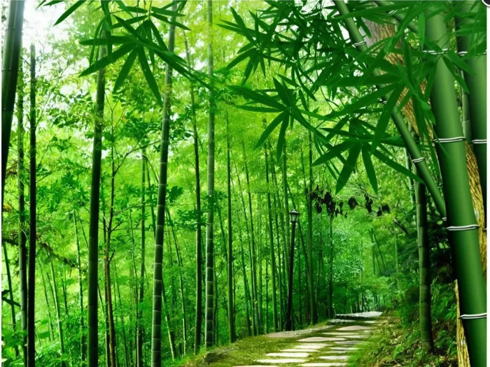 Tranh vẽ cây tre Việt Nam