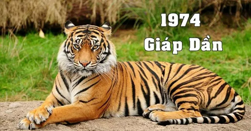 Tuổi Giáp Dần có khí chất mạnh mẽ, tính cách dám nghĩ dám làm