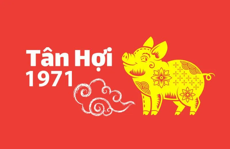 Tuổi Tân Hợi khí chất thanh cao, thông minh, ham học hỏi