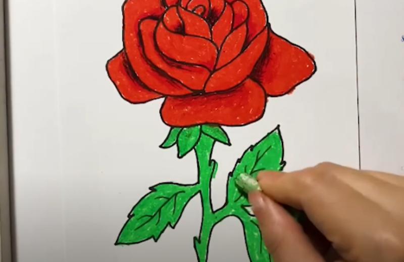 Hoàn thiện tô màu cho Hoa Hồng