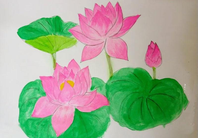 Vẽ Hoa Sen đơn giản là gì?