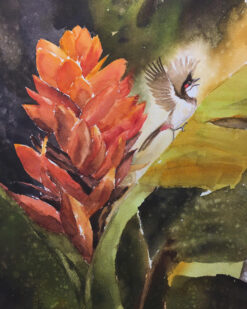 Nắng Chiều Tây Bắc