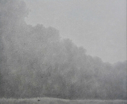 Phong Cảnh Thanh Bình