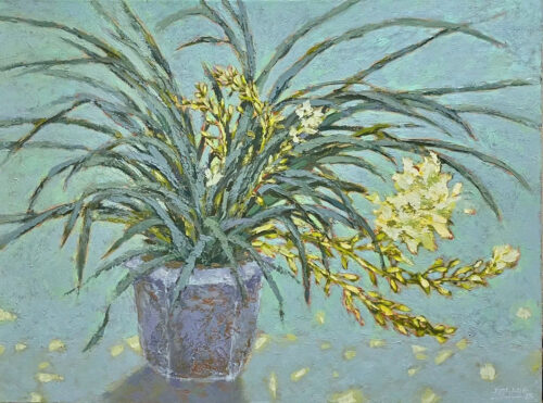 Tĩnh Vật Hoa Trắng