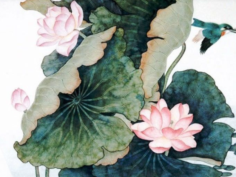 Hoa sen biểu tượng của sự thanh cao