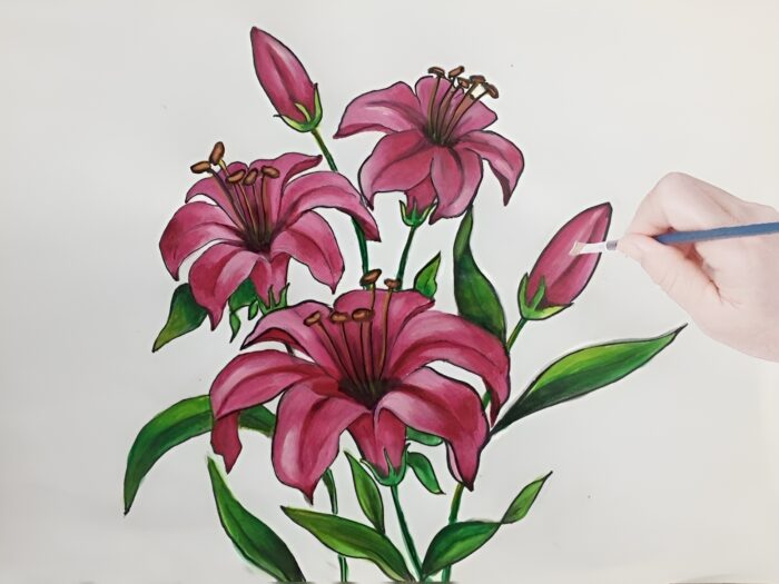 Ý nghĩa tô màu tranh hoa Ly