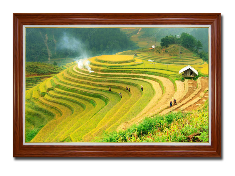 Bố cục tầng lớp của Y Tý tượng trưng cho hành trình phát triển bền vững và tinh thần kiên cường của đồng bào vùng cao