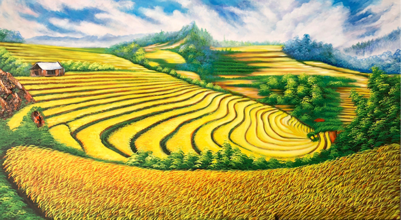 Bức tranh ruộng bậc thang Hoàng Su Phì - Vẻ đẹp hùng vĩ và cổ kính, nơi những bậc thang uốn lượn như sóng lúa vàng rực