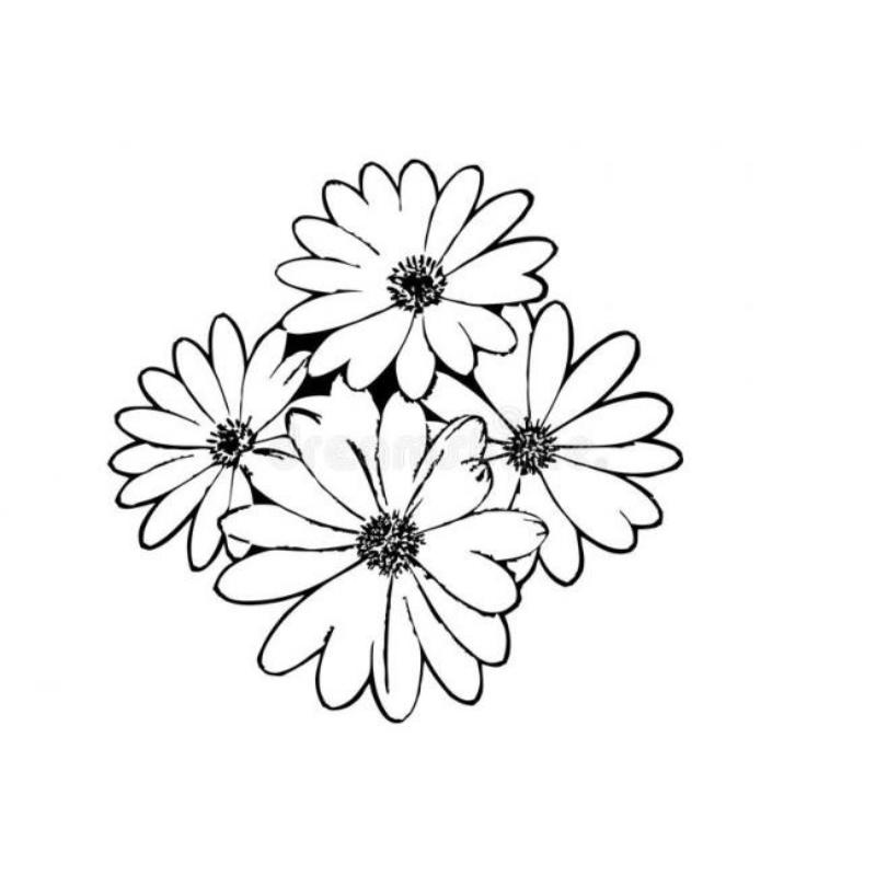 Tranh tô màu hoa cúc đơn giản cho bé