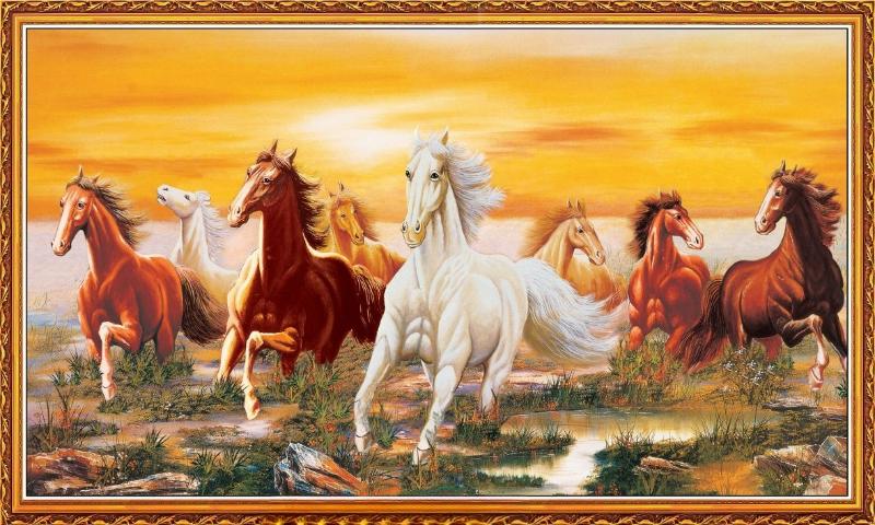 Đàn ngựa nâu, trắng phi nước đại dưới ánh hoàng hôn