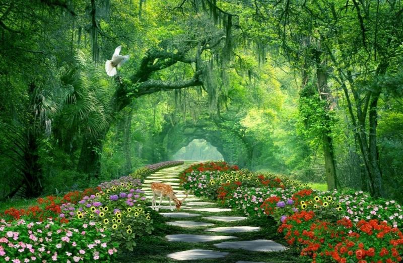 Tranh con đường mòn lãng mạn trong rừng sâu