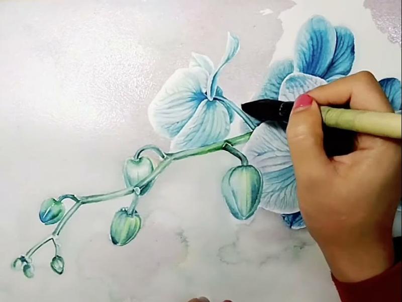 Tranh hoàn thiện về Hoa Lan Hồ Điệp