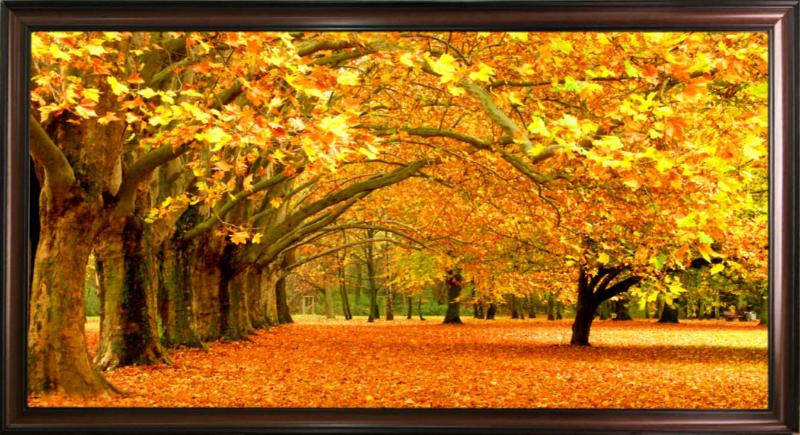 Tranh phong cảnh rừng cây mùa thu rực rỡ