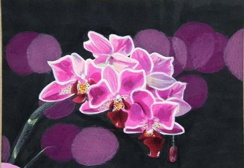 Vẽ hoa Lan Hồ Điệp