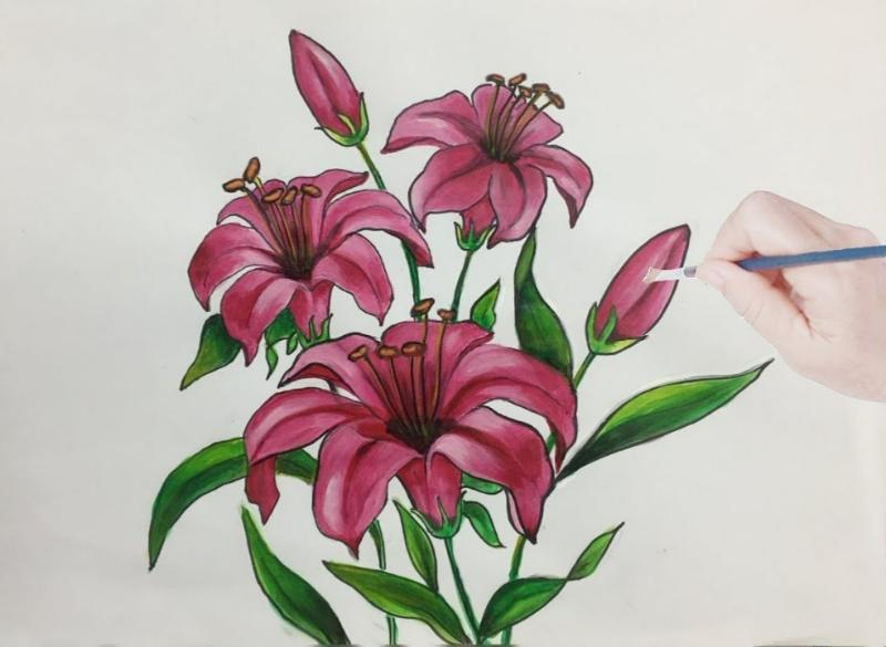 Ý nghĩa tô màu tranh hoa Ly