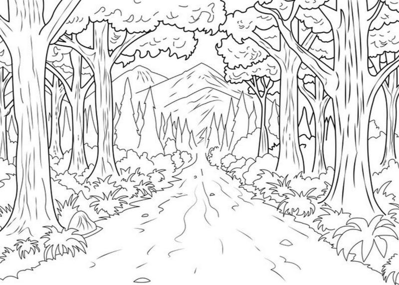 Bộ tranh tô màu phong cảnh nâng cao cho bé lớp 8