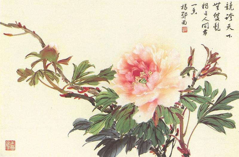 Tranh hoa mẫu đơn đơn sắc, sự tinh tế, duyên dáng trong từng nét vẽ