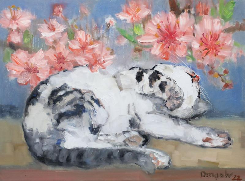 Bức tranh sơn dầu chú mèo nằm nghỉ dưới tán hoa anh đào, mang lại cảm giác thư giãn