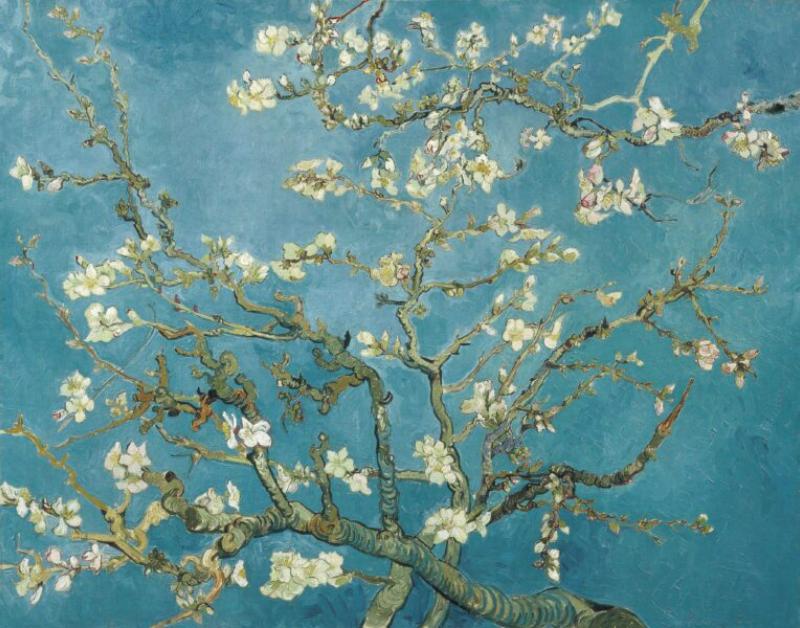 "Cây Hạnh Nhân Nở Hoa": Kiệt tác của Van Gogh, tượng trưng cho hy vọng và sự sống mãnh liệt