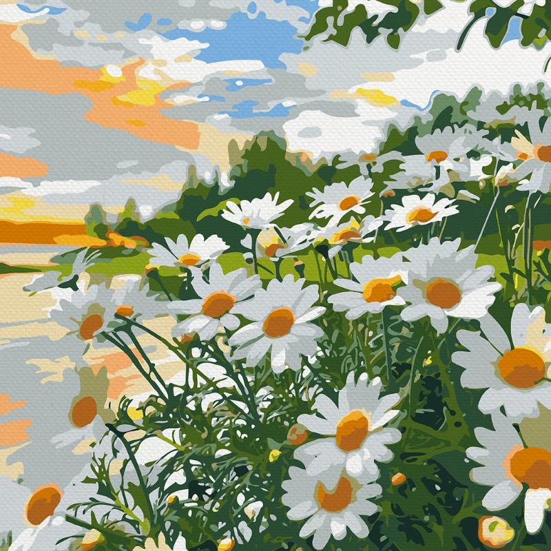 Tranh số hoa hoa cúc họa mi sự kết hợp tuyệt vời giữa nghệ thuật hiện đại và vẻ đẹp tự nhiên thuần khiết