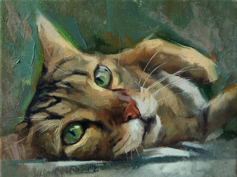 Bức tranh sơn dầu con mèo cận cảnh, lấy góc nhìn từ phía trên, tạo chiều sâu cho tác phẩm