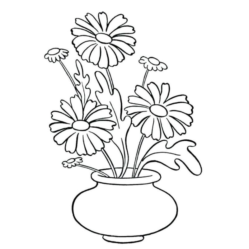 Tranh tô màu cánh đồng hoa cúc